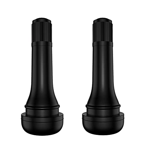 amiciAuto Tyre Valve (Pack of 2)