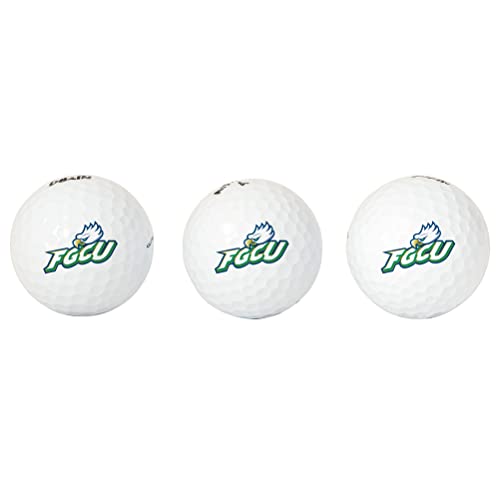 Desert Cactus Florida Gulf Coast University Golf Balls 3 Pack Full Color Golf Ball (Design B)