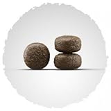 JOSERA-Lamb & Rice – 15kg Sack - 2