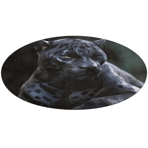 Alfombra de pantera negra pequeña y lavable para decorar el dormitorio 2