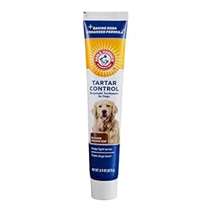 Arm &amp; Hammer for Pets Tartar Control Enzymatic Toothpaste for Dogs Reduces Plaque &amp; Tartar Buildup Safe for Puppies Beef Flavor, 2.5 Ounces Dog Toothpaste (Pack of 1)