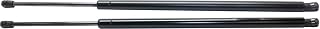 Driver and Passenger Side Liftgate Lift Supports Us Equipped for 2008 Dodge Grand Caravan Value Package 6 Cyl 3.8L