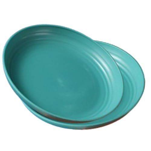 Image of YANCI 23 cm Large Deep Plastic Plates, Unbreakable and Reusable Light Weight Dinner Plates Pasta and Dumpling Bowl Microwave Safe BPA Free Dishwasher Safe, Set of 2, Dark-Green