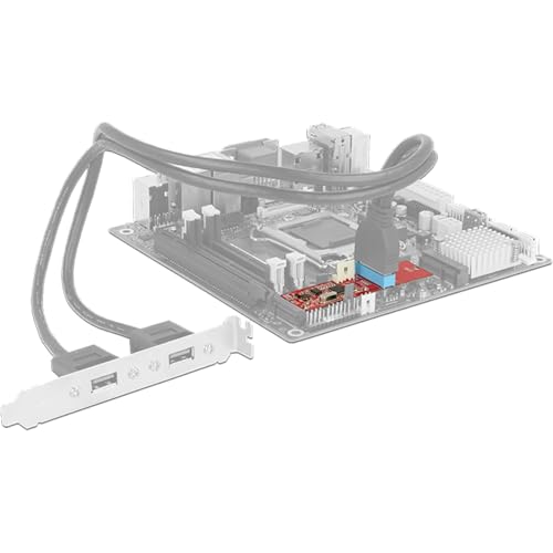 Conversor M.2 Key B + M Macho Delock con conector poste USB 3.0 4