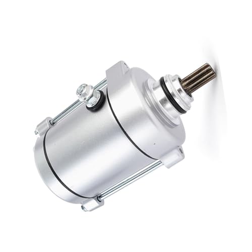 Démarreur pour Daelim VL125 et VS125 compatible avec moto Evolution 125cc