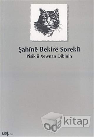 Pisîk Jî Xewnan Dibînin