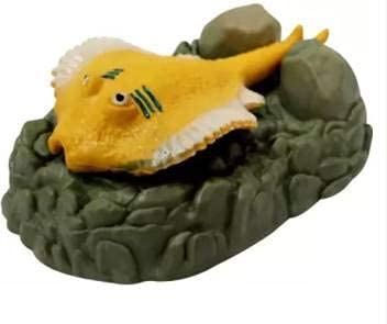 Kapoor pets Laterite Unplanted Substrate (Multicolor, 0.1 kg) Aquarium Stingray Fish Toy for Fish Tank (Multicolor, 0.1 kg) (B0978XJSWJ) Amazon Price History, Amazon Price Tracker