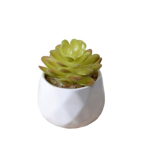 QUXVUIS lH~jAV~[V~̓tFCNt[|bgiH|irO[̑i, ^Cv2