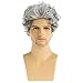Beweig Short Culry Grey Wig for Men Short Wavy Cosplay Layered Wigs, Grey mixed White