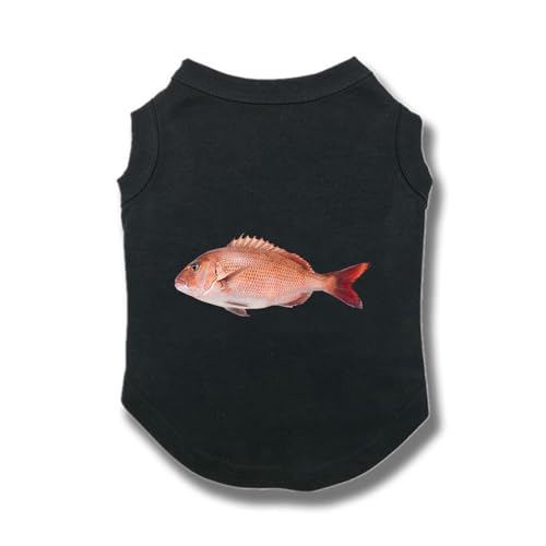 CNJKS ���� �t �� �ĕ� ���^�� ���� �^���N�g�b�v 4XL ���킢�� �u���b�N �h�b�O�E�F�A ������ �_�炩�� ���̎q �j�̎q �ʋC���悢 �V���c �ėp ���� ���^�� ��^�� ���� ���^���^��^���� ����̒��p ���L�p ���L�m��