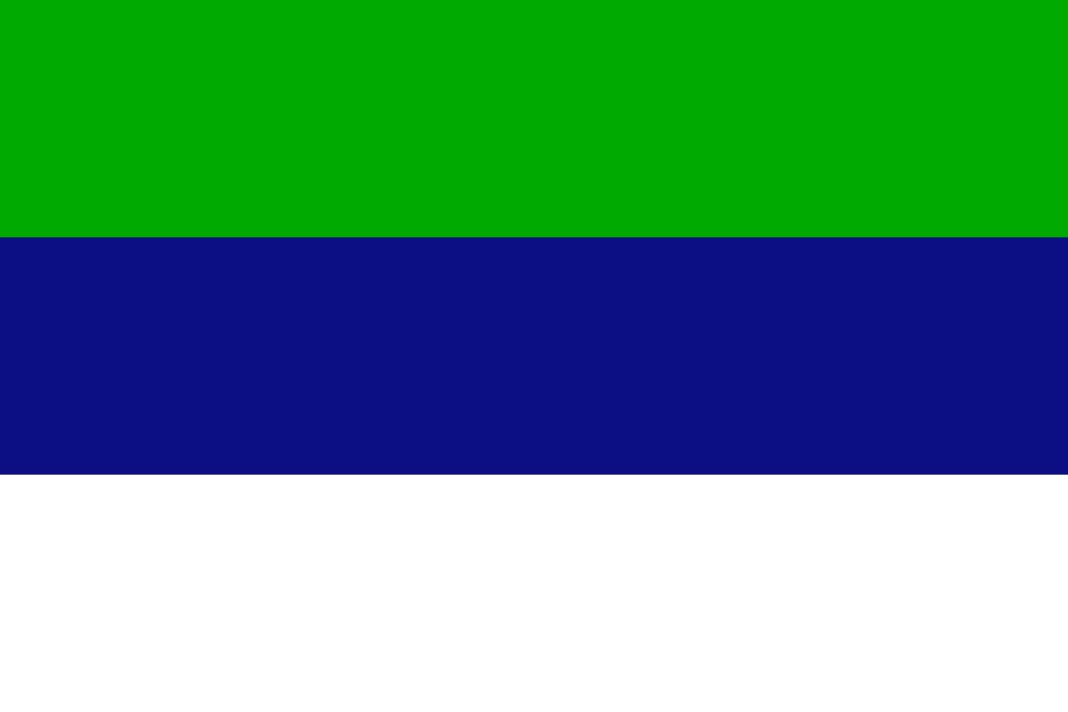 Drapeau Royaume d'Araucanie et de Patagonie grand format variante historique