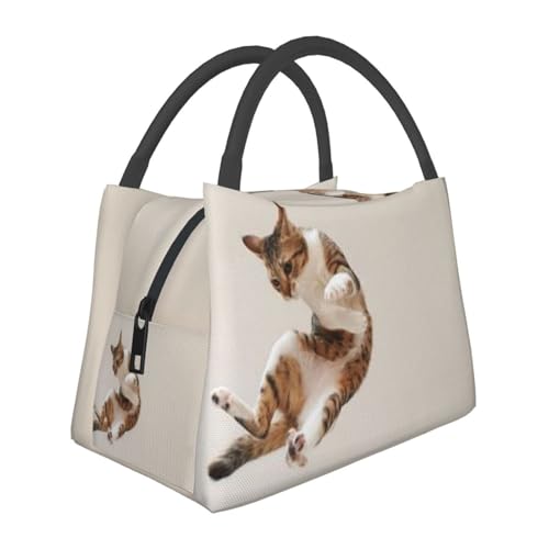 ԔL `obO ٓ e y ۗ ۉ 􂦂  sNjbNp d [ ʋ ʊw fMobO ܂肽 VbsOobO RrjobO  N[[obO lp jp p qp