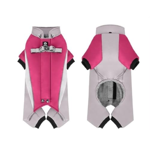 uNexPonvh̃xXg WPbg~g^̏㒅uhbO S[f go[ uh[^ ([Ybh,L)