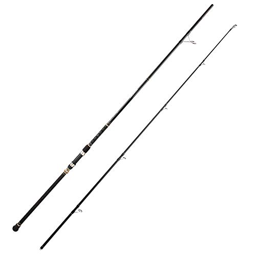Berrypro 743693427975 Surf Spinning Rod Graphite Surf Fishing Rod  thumb #6