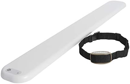 dog jumping on fence