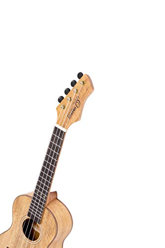 Ortega Guitars Ukulélé Concert acoustique – modèle gaucher – Série Horizon – tête inversée – Housse incluse – Manguier… - Les Beatles, Paul McCartney, John Lennon, RIngo Starr, George Harrison Ortega Guitars Ukulélé Concert acoustique - modèle gaucher - Série Horizon - tête inversée - Housse incluse - Manguier… – Image 7