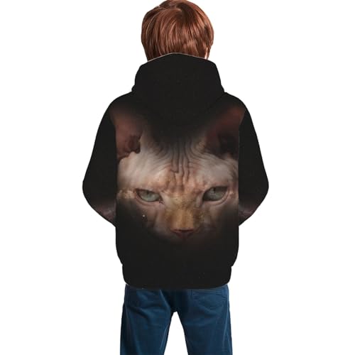 Hairless Cats And The Galaxy Boy, Girls Sports Shirt Youth Pullover Fashion Hooded Sweatshirt2