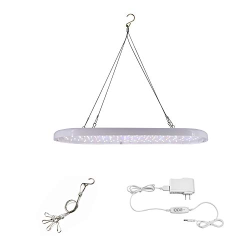 Lampe grow light LED pour plante interieur fleur et plante grasse avec minuterie USB