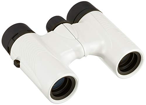 【レア物・美品】Fujinon 8×30 双眼鏡 OD色　 ストラップ付き レモン社銀座店 中古品入荷情報：富士フイルム双眼鏡 フジノンKF8×32H