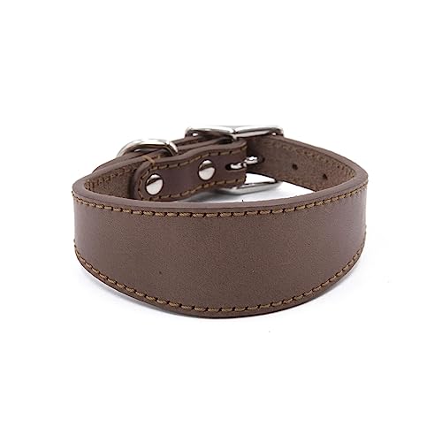 Osdhezcn Collier large rembourré en cuir véritable pour lévriers italiens - Confortables - Accessoires pour chiens - Fournitures pour animaux de compagnie