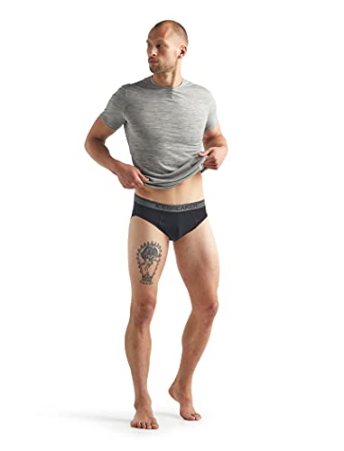 Icebreaker Merino Men's Anatomica Briefs4
