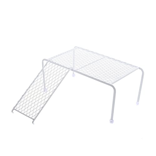 BCOATH 1Set Chicken Rack Stainless Steel Climbing Platform and Ladder for Chickens Safe Exercise and Activity Accessory for Pets Promotes Balance and Coordination