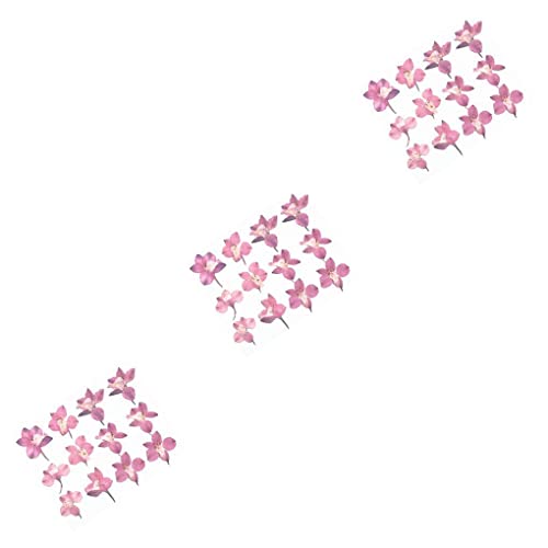 CUDDIKAJI 3 Flor Seca Pétalas Naturais Decorativa Segura Decoração Rosa Colorida