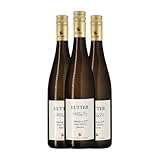 Hutter Smaragd Riparum Grüner Veltliner Seco Wachau 75 cl Vino blanco (Caja de 3 Botellas de 75 cl)