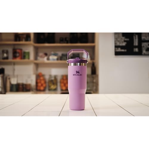 Image of Stanley IceFlow 2.0 Flip Straw Tumbler with Handle 30 oz | Twist On Lid and Flip Up Straw | Leakproof Water Bottle | Insulated Stainless Steel | BPA-Free | Lilac