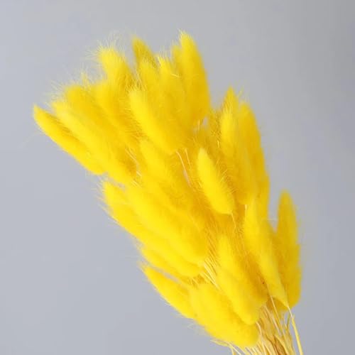 Pampas Grass Decor Tall 30 Piezas Flores Secas Naturales