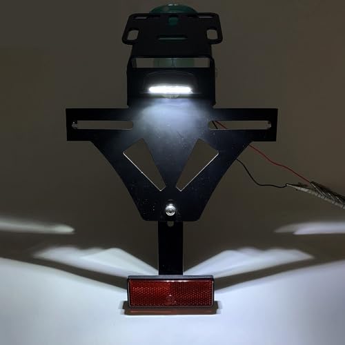 Soporte de matrícula trasera de alta resistencia para YZF R1 R6 con luz fija 4