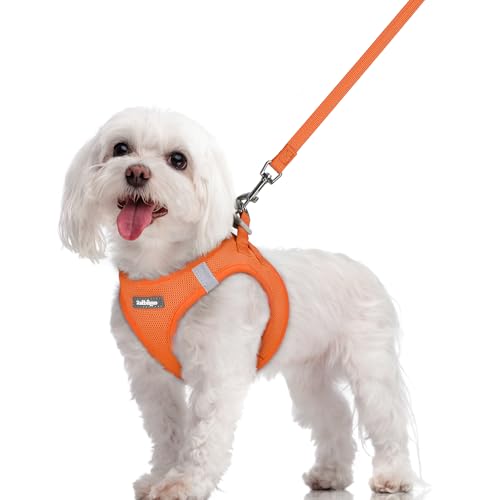 Image of rabbitgoo Dog Harness Medium Sized and Leash Set, Step-in Puppy Pet Vest