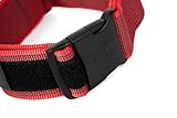 Julius-K9, 100HA-K-R-2015 Color & Gray K9-Halsband mit Haltegriff, Sicherheitsverschluss und Logo, 40 mm*38-53 cm, verstellbar, rot-grau