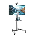 Mount-It! Mobile TV Stand for Flat Screen Televisions, Height Adjustable Rolling TV Cart for 32, 40, 50, 55, 60, 65 and 70 Inch Screens, 110 Pound Capacity
