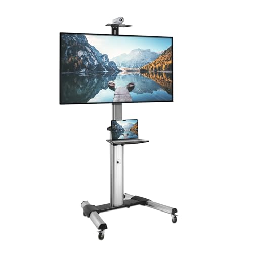 Mount-It! Mobile TV Stand for Flat Screen Televisions, Height Adjustable Rolling TV Cart for 32, 40, 50, 55, 60, 65 and 70 Inch Screens, 110 Pound Capacity