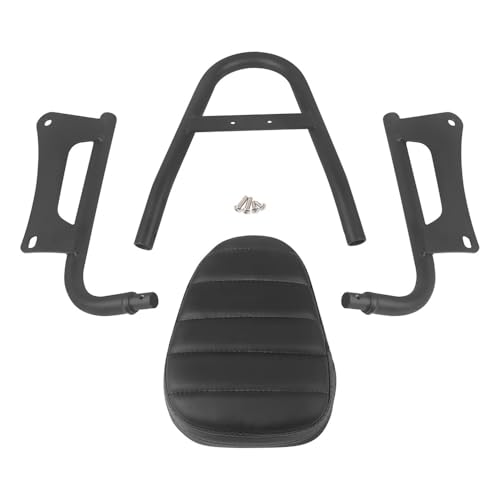 Porte-bagages amovible pour moto Rebel CMX1100 et dossier de confort passager