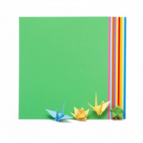 100 Sheets Origami Paper 10 Colors Square Oragami Paper for School Arts Crafts DIY Kids Handmade (25X25CM)