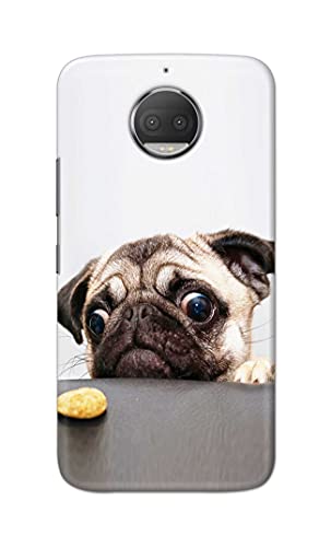 Image of PRINTFIDAA� Printed Hard Back Cover Case for Motorola Moto G5S+ Plus Back Cover (Pug Dog) -2808