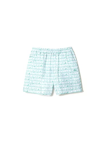Lacoste-Herren BADEHOSE-MH5640-00, Grün/Hellgrün, M