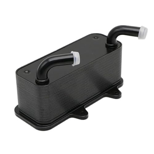 Radiateur de refroidissement d'huile 420888875 420888878 pour 300 GTX RXT 2018-2022