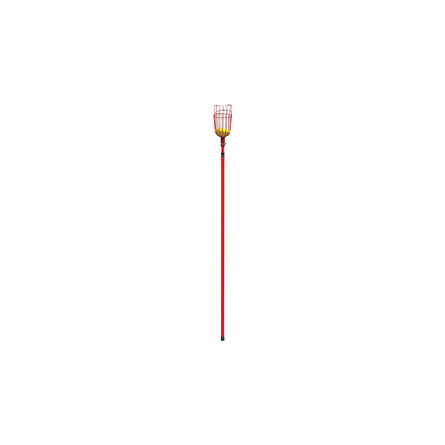 Corona FP 2312 Extendable Fruit Picker, 12-Feet