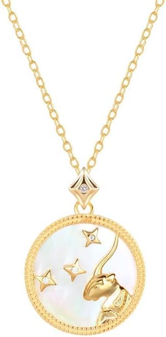 Collares de horóscopo 925 personalizados como regalo de 12 constelaciones