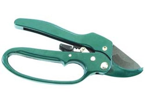 1BLISTER FORBICE POTA A BATTUTA CON CRICCHETTO - cm.20