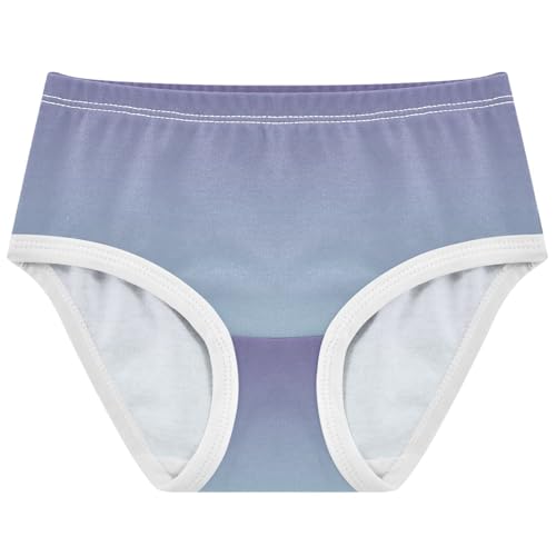 Joisal Durable Toddler Underwear Floral 2t Cotton Girl Panties Cute Violet Powder Blue Gradient Briefs Underpants