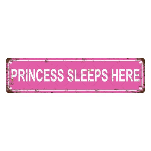 PRINCESS SLEEPS HERE Plaque en métal vintage pour femme, panneau de rue, décoration d'intérieur, décoration de chambre, décoration murale, décoration de...