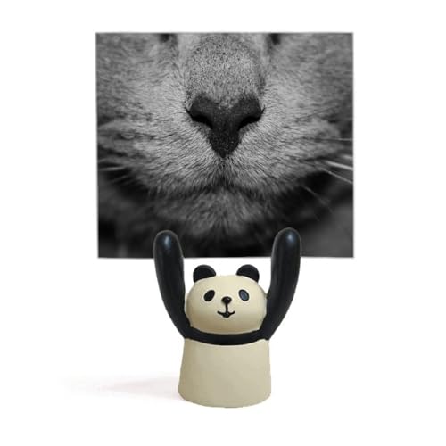 Support photo chat panda pour ne plus perdre vos mémos importants