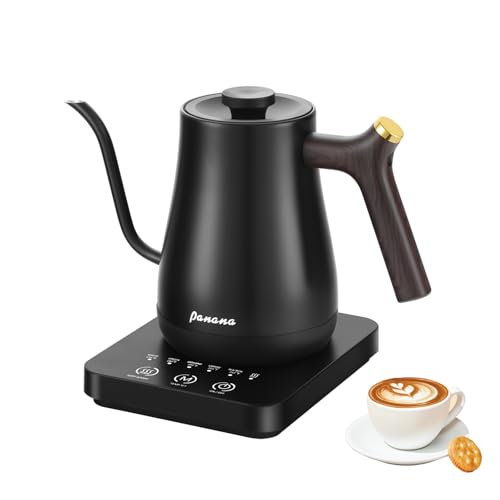 Panana Gooseneck Electric Kettle