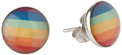 SHENRAN Rainbow Earrings - Pride Accessories for Women Men, Hypoallergenic Stainless Steel, LGBTQ+ Friendly