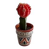 Origine authentique : Vase en céramique marocaine, fabriqué à la main.