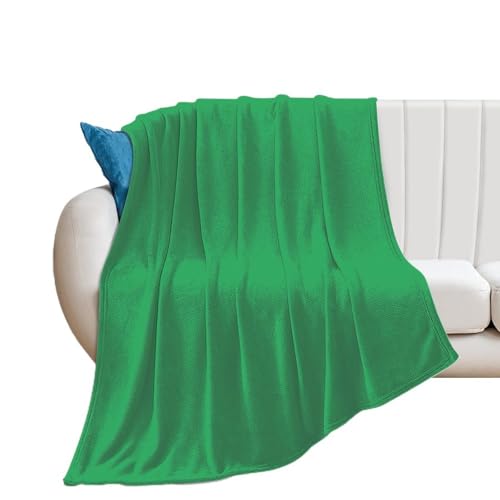Soft Plush Throw Blanket Modern Minimalist Green Cozy Warm Blankets